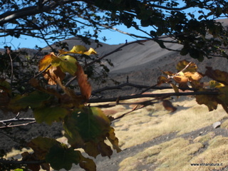 nte Pizzillo-21-10-2012 08-50-39